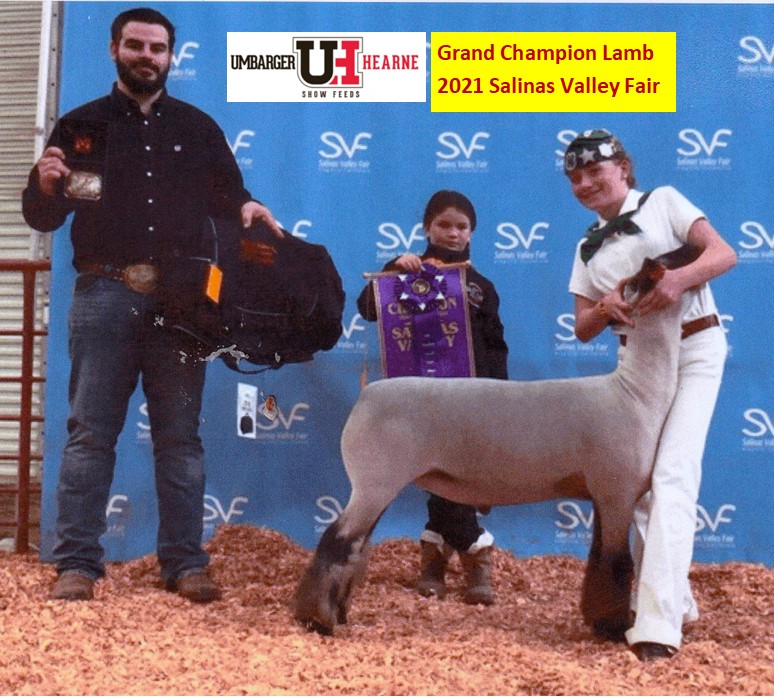 2021 Grand Champion Lamb Salinas Valley Fair