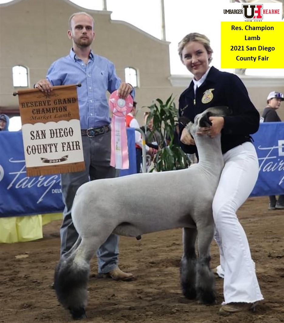 Res. Champion Lamb. 2021 San Diego County Fair